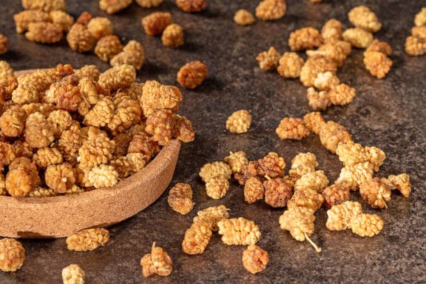 تصویر 3 از خرید و قیمت توت خشک سفید مرغوب + فروش عمده